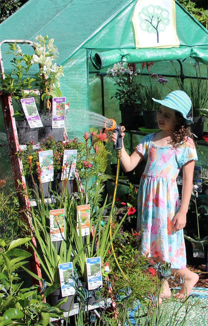 A young gardener watering a collection of potted plants
