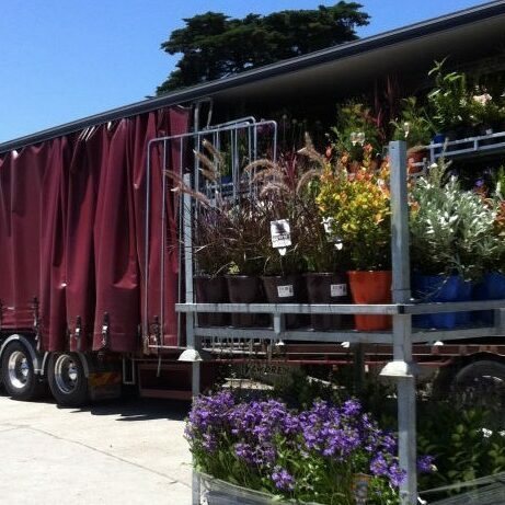 Trade nursery