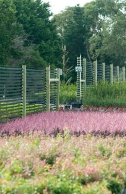 Sustainable vegetation management