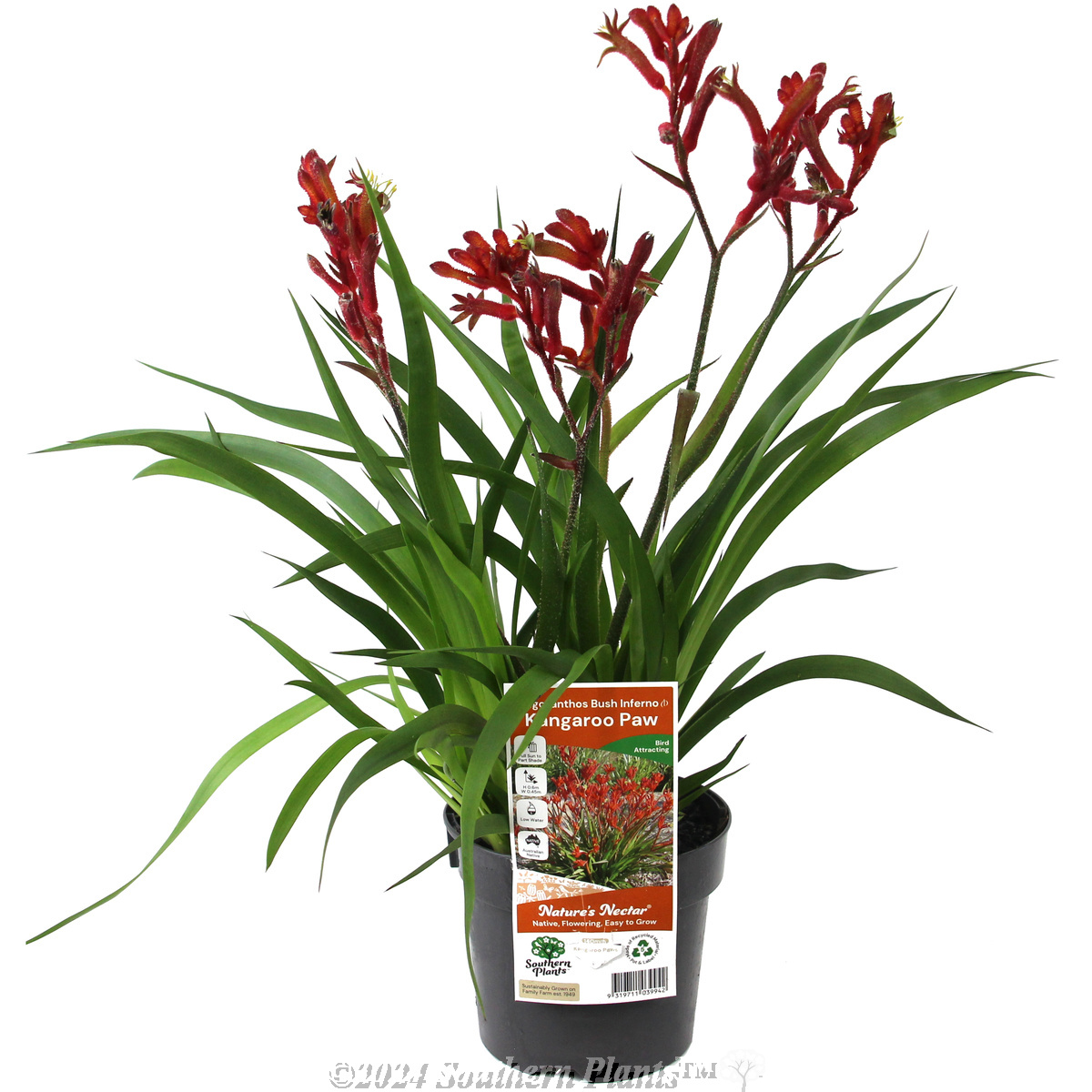 Nature's Nectar® range